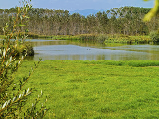 lago ecologico para pajaros reservas naturales