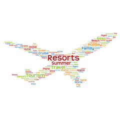 Naklejka premium Concept or conceptual colorful plane silhouette travel tourism text word cloud