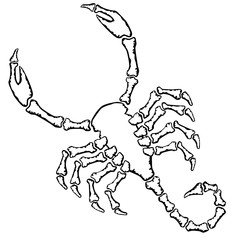 scorpion silhouette