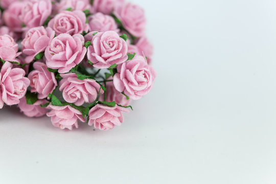 Light magenta roses in wood isolated background