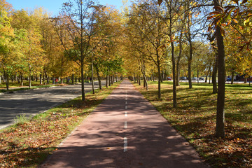 Naklejka premium colores de otoño en un parque de Burgos
