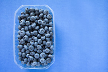 plastic box full of blueberries on blue background