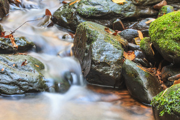 Naklejka na ściany i meble waterfall and rocks covered with moss