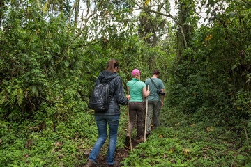 Nyiragongo trek inside Virunga National Park in Democratic Republic of Congo  © LMspencer