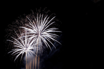 fireworks new year silver