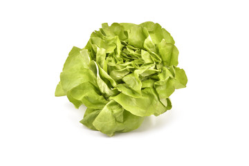 lettuce isolated on white background