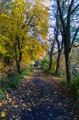 Obraz premium Jesień w Polsce .