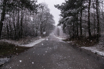 Pierwszy śnieg na północy Polski. © maryssia