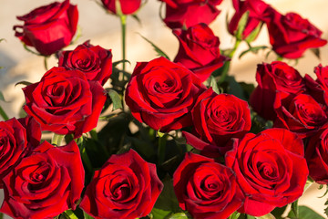 bouquet of blossoming dark red roses