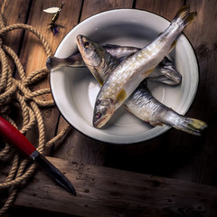 Raw river fish,knife and stripped vest on old wooden table.