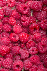 A beautiful selection of freshly picked ripe red raspberries.