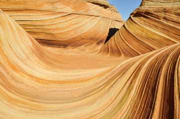 Obraz premium The Wave, sandstone in Coyote Buttes North (Arizona)
