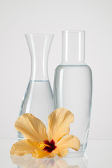 Two vases with clean water and hibiskus flower © Radomir Rezny