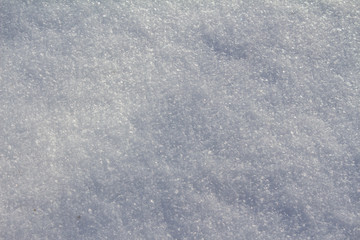 Hoarfrost on the plants in winter field
