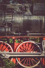 Abandoned steam locomotive