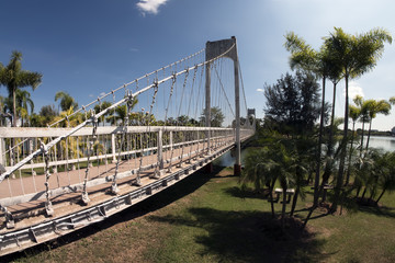 Suspension Bridge in Park