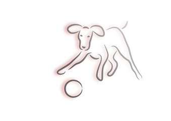 Dog playing with a ball