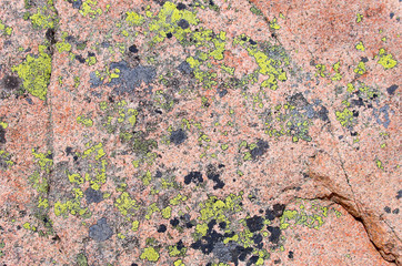 Surface Of A Granite Rock