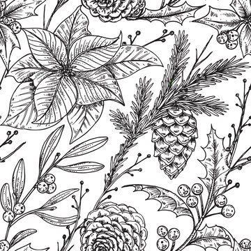 Vector Seamless Pattern With Hand Drawn Winter Plants