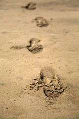 Fototapeta na wymiar Footprint on the sand