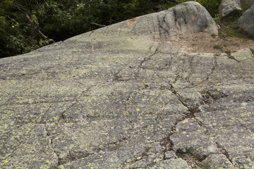 Glacial striations from the ice sheet movement over granite bedrock, Mt. Kearsarge, New Hampshire.