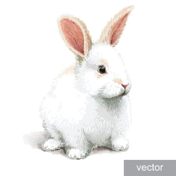 Easter realistic little rabbit illustration. Vector.