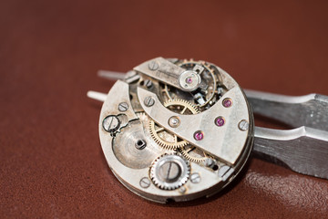 Reparation and restoration of watches