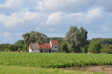 Flemish house in rural area