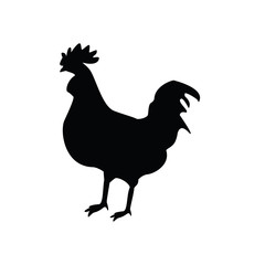 Rooster