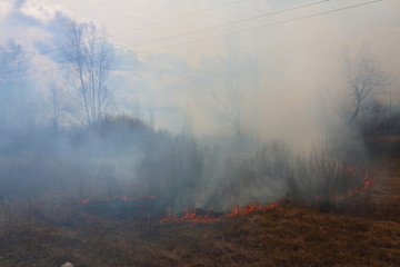 Line of the fire coming toward the village - burning meadow grass