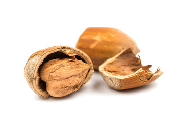hazel nuts in the shell