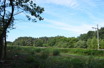 Abandoned field next to railroad