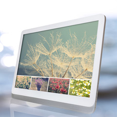 Tablet PC with images of natural objects,  on light nature background