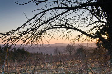 Vertougit (Corrèze)