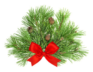 Pine tree branches with cones and red ribbon on white