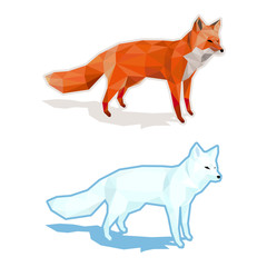Red and white foxes isolated on white with shadow - low poly