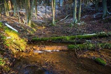 Landscape of late autumnal forest with first snow and small river