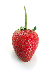 Strawberry/Fresh strawberry on white background.