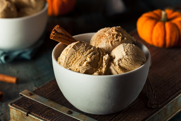 Homemade Pumpkin Pie Ice Cream