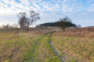 Landscape of fields at late autumn or winter