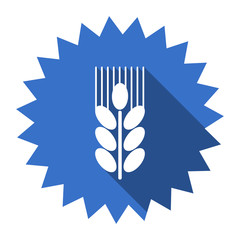 grain blue flat icon