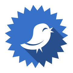 twitter blue flat icon