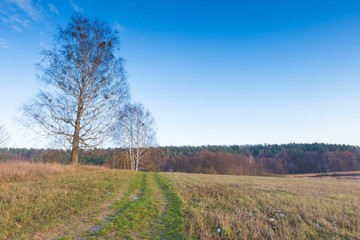 Landscape of fields at late autumn or winter