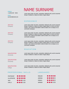 Professional simple styled resume template design with pink and blue headings on a grey background