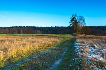 Landscape of fields at late autumn or winter