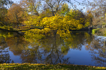 Beautiful autumn in Hannover Maschpark