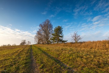 Fototapeta premium Landscape of fields at late autumn or winter