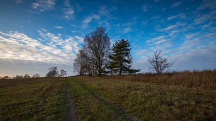 Landscape of fields at late autumn or winter
