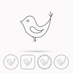 Bird with beak icon. Social media concept sign.