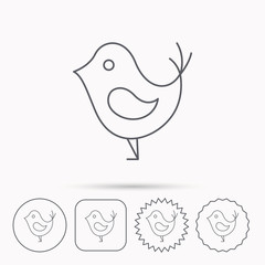 Bird with beak icon. Social media concept sign.